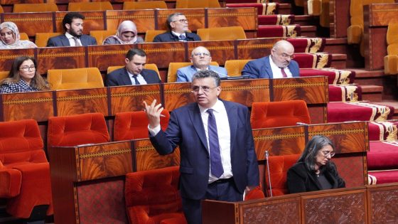 العقار غير المحفظ متهم بتبييض الأموال وألغينا تحرير المحامين لعقوده