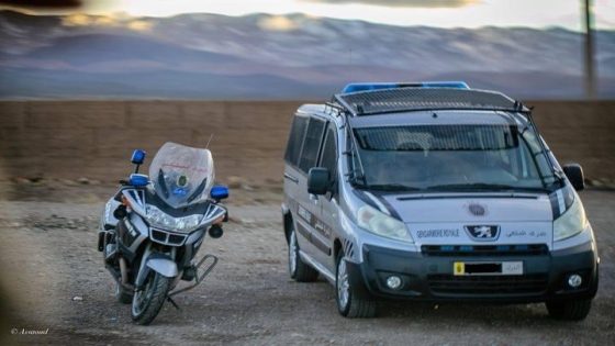 الدرك الملكي بالناظور يحبط محاولة توزيع لحوم فاسدة وسط موجة حرّ