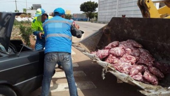 رؤوس حمير تستنفر السلطات المحلية بالجديدة