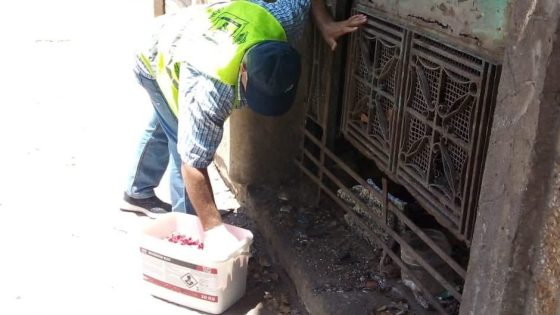 الجرذان تغزو أحياء تطوان – زنقة 20