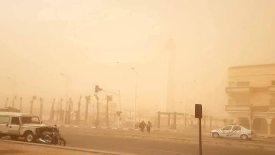 عاصفة رملية تكشف المستور ببوجدور.. شركة برلماني تبتلع الملايين وتبقي مشروع الحزام الأخضر حبرًا على ورق