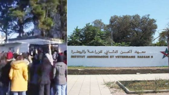 طلبة معهد الزراعة والبيطرة يحتجون على إفراغهم من السكن الجامعي
